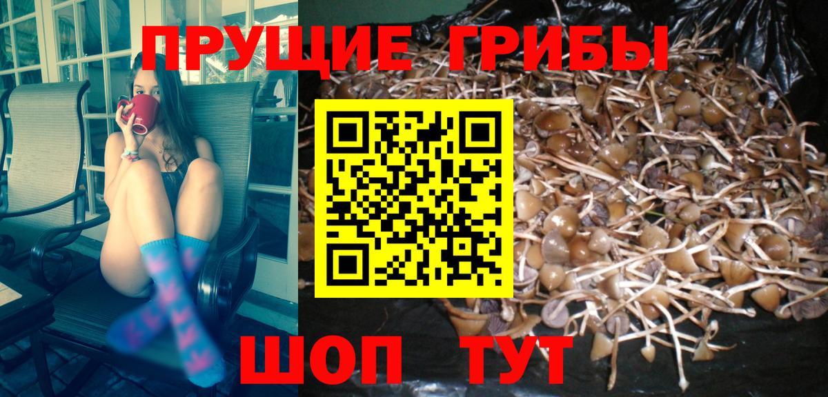 Псилоцибиновые грибы Magic Shrooms Кулебаки